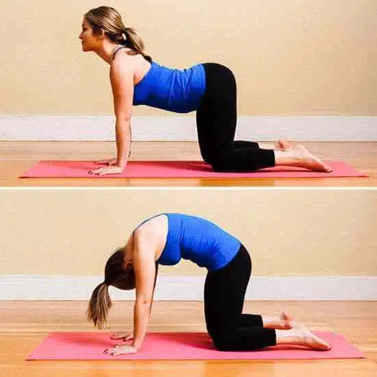 sciatic nerve pain relief Yoga Pose Cat/Cow Pose