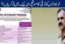 CPEC Internship Program